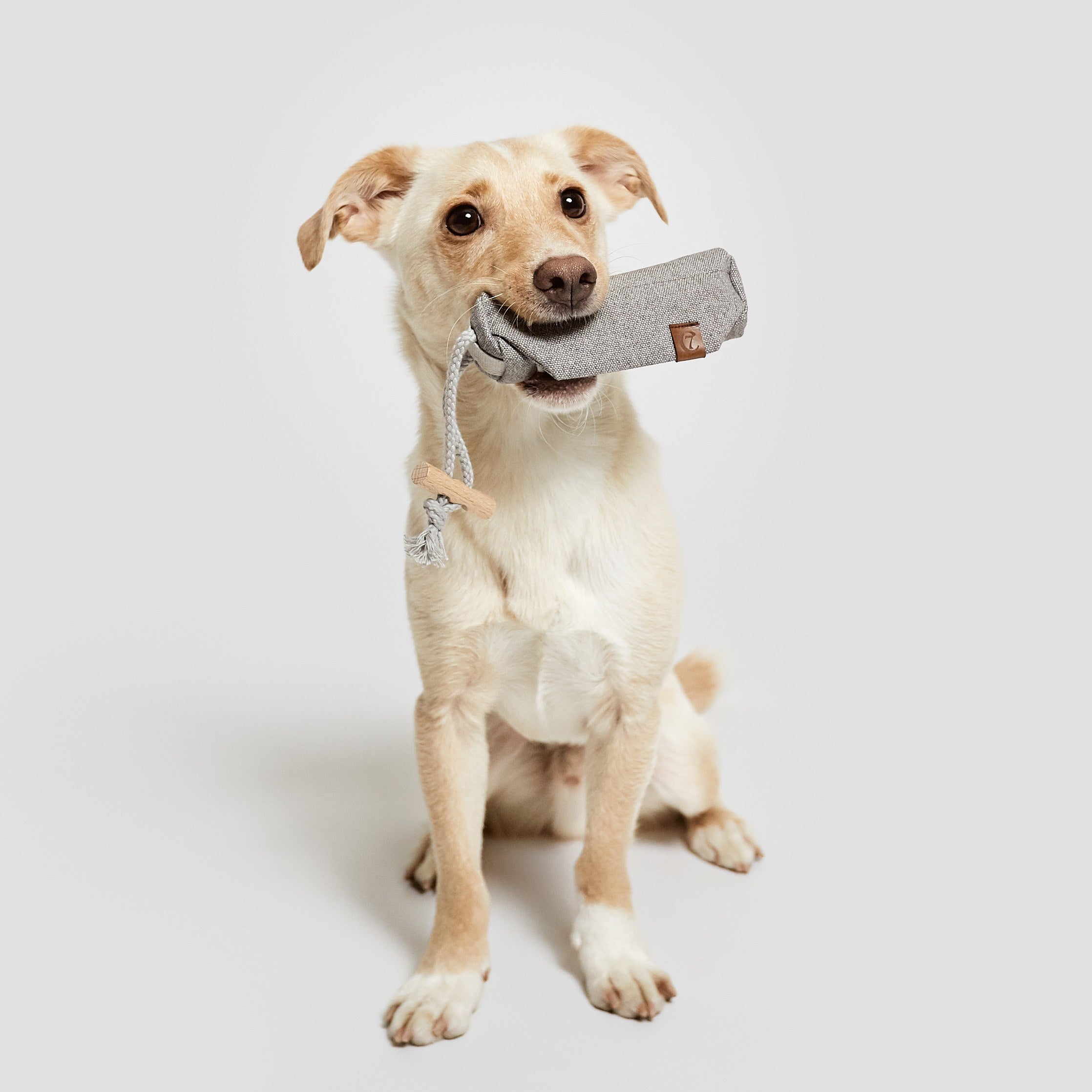 Futter Dummy XS Heather Grey Hund